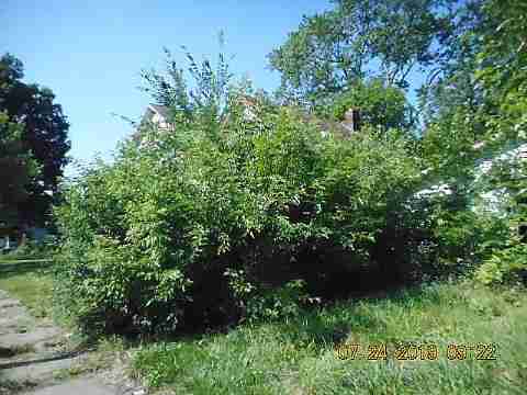 15747 Joslyn (5)_m.jpg